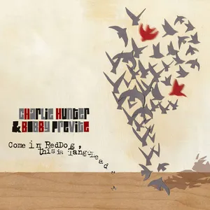 Come in red dog, this is tango leader